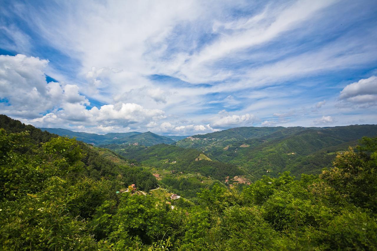 Fattoria Di Pietrabuona Apartment เปสเชีย ภายนอก รูปภาพ