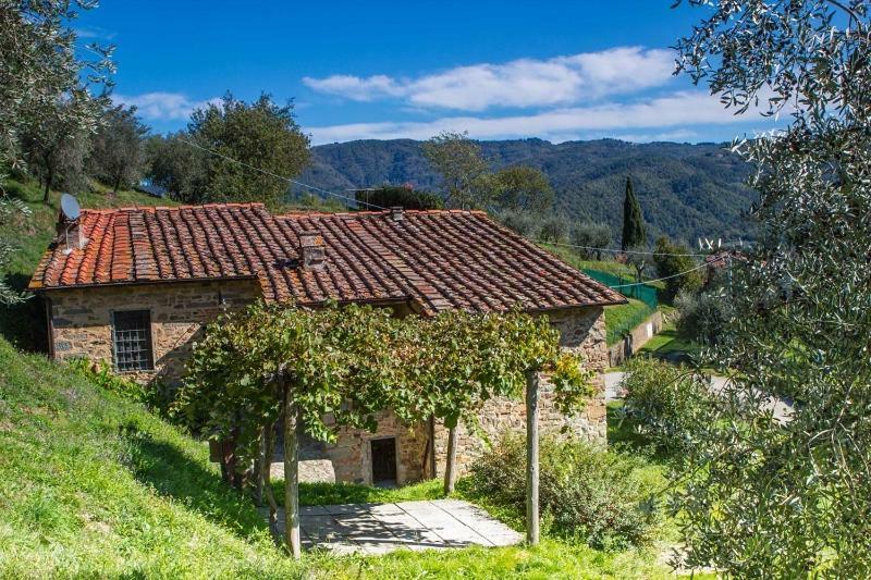 Fattoria Di Pietrabuona Apartment เปสเชีย ภายนอก รูปภาพ